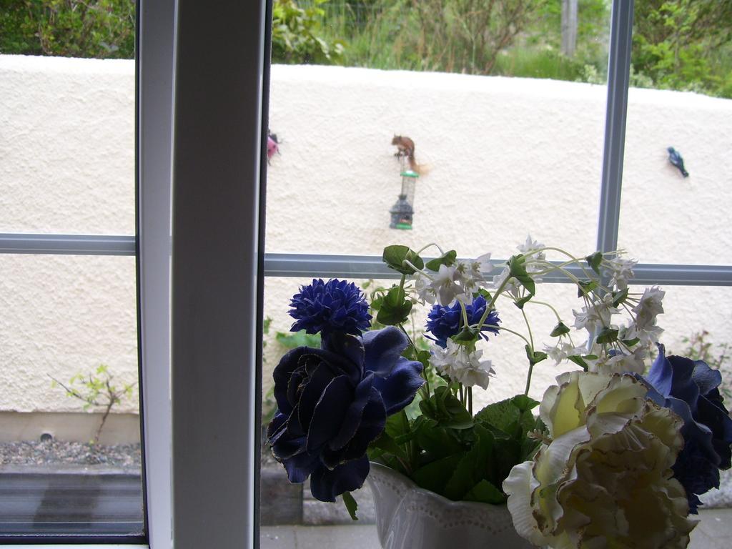 Lurig View B&B Glenariffe エクステリア 写真