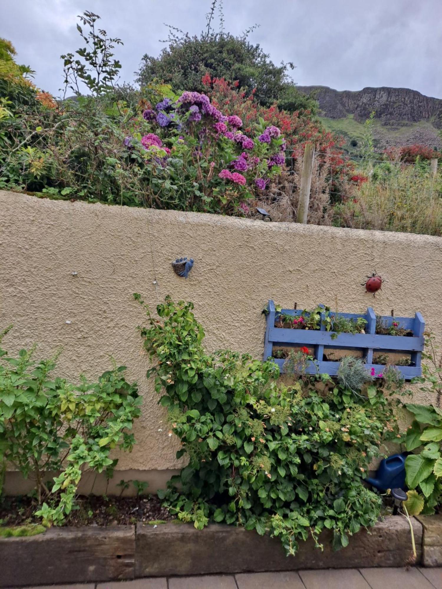 Lurig View B&B Glenariffe エクステリア 写真