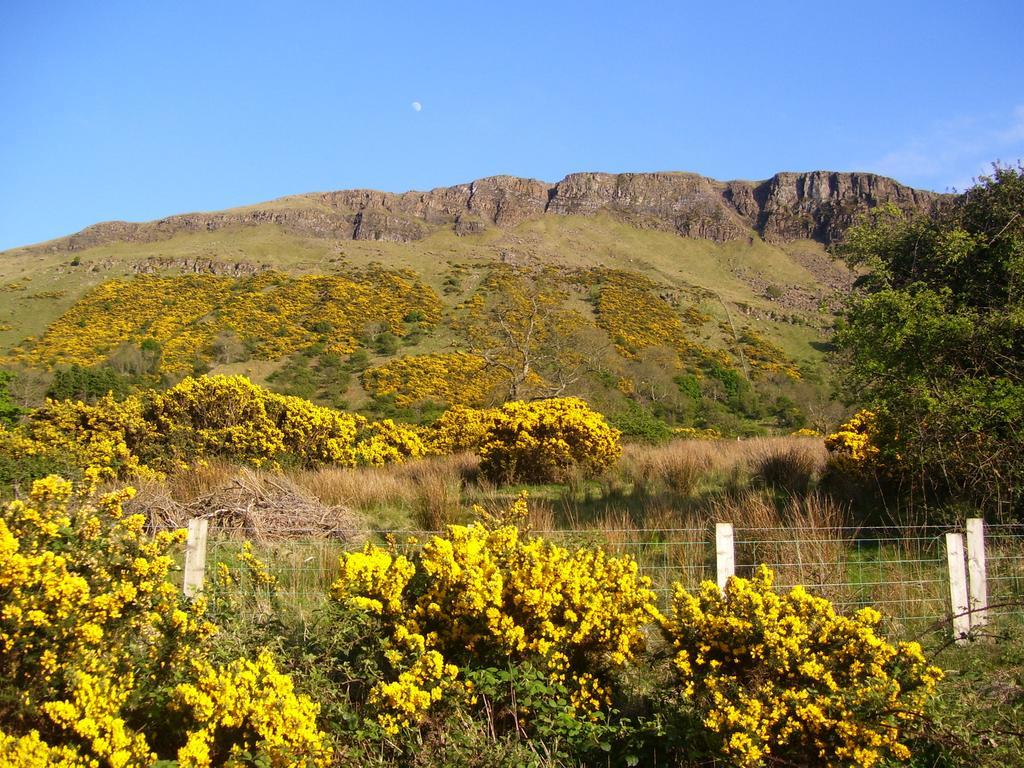 Lurig View B&B Glenariffe エクステリア 写真